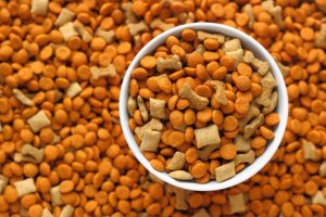 પેટ ફૂડ્સ