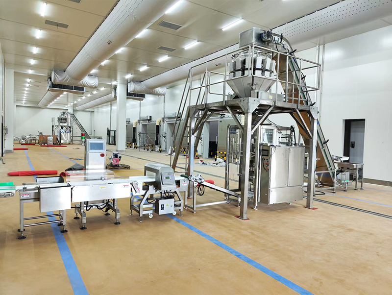 આપોઆપ પેકિંગ મશીન ફોરઝન ફૂડ