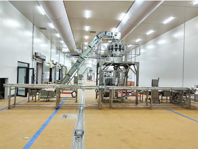 આપોઆપ પેકિંગ મશીન ફોરઝન ફૂડ