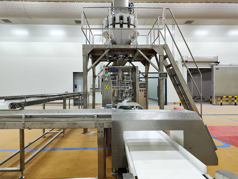 સ્થિર ખોરાક માટે આપોઆપ પેકિંગ મશીન.6