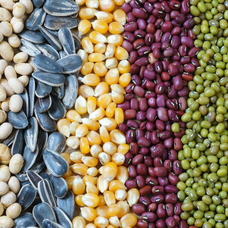 આપોઆપ બીજ પેકેજીંગ મશીન