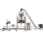 ZL25-KL ડબલ બકેટ બેલ્ટ કન્વેયર વજન મશીન